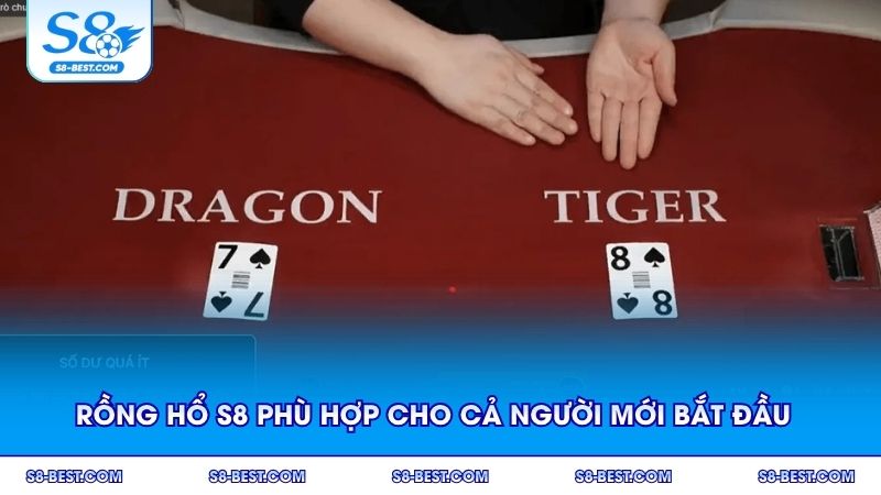 Rồng Hổ S8 phù hợp cho cả người mới bắt đầu
